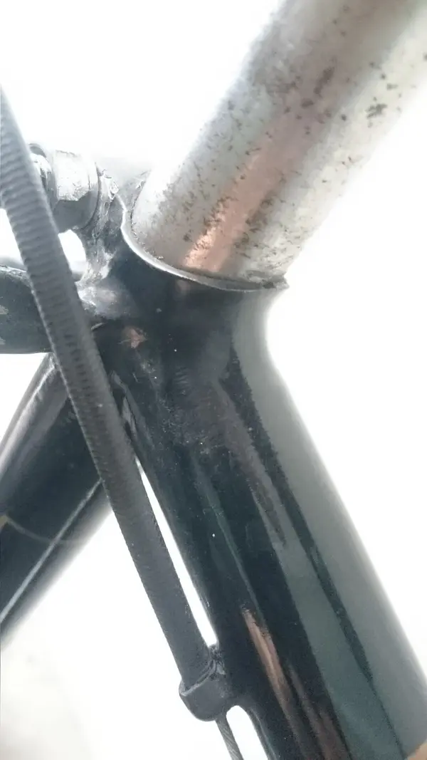 not known15.webp