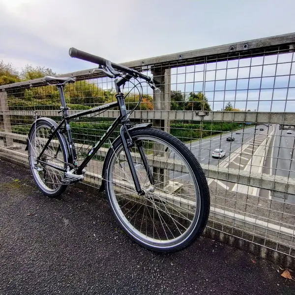 IMG_20241013_105303758_HDR.webp