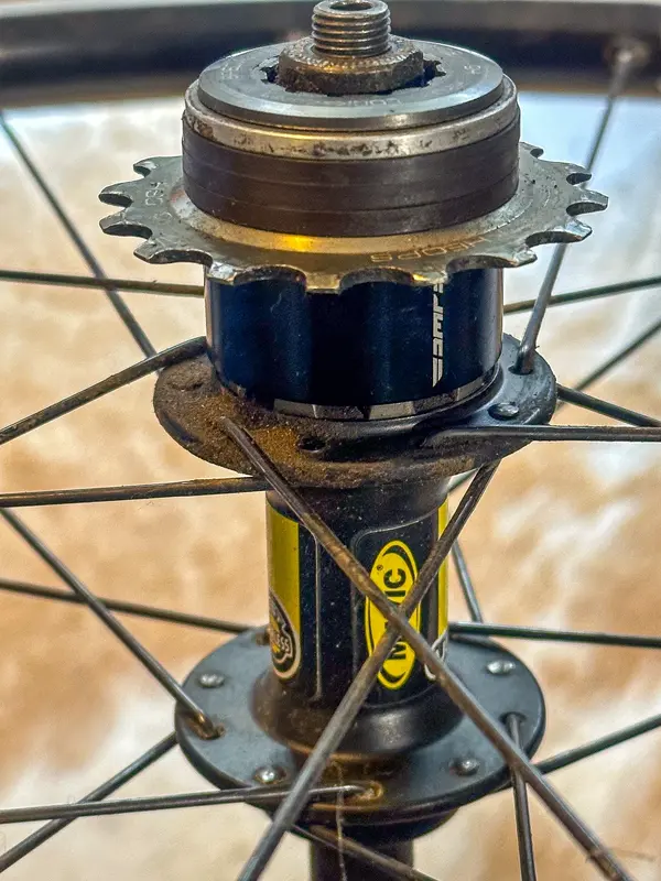 freewheel 2.jpg