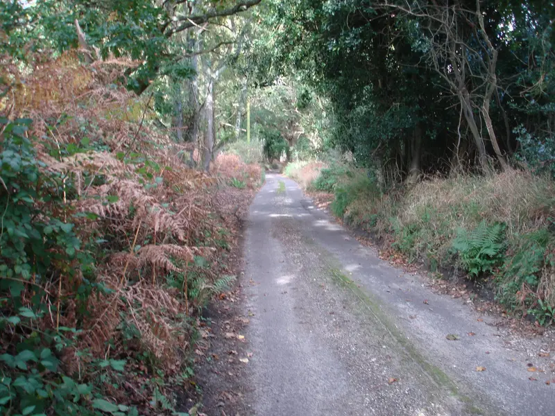 DSC01333.webp