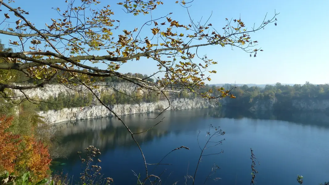P1070694.webp