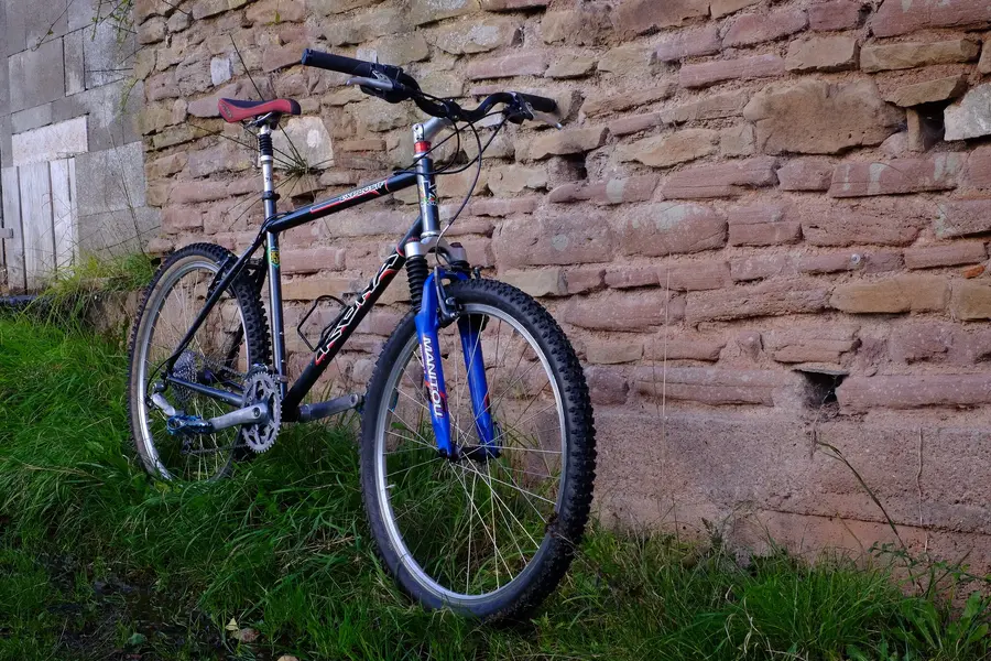 DSCF0637.webp