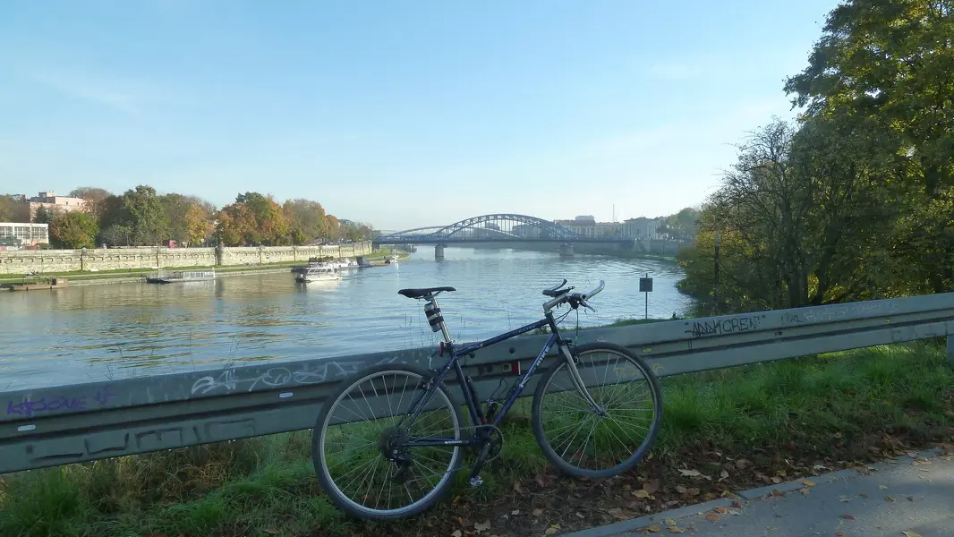 P1070762.webp