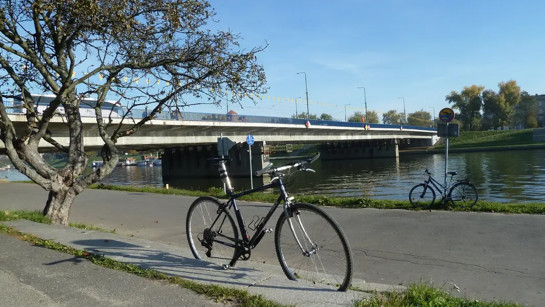 P1070753.webp