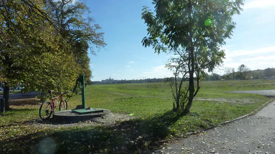 P1040486.JPG