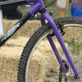 Carbon 2b.jpg