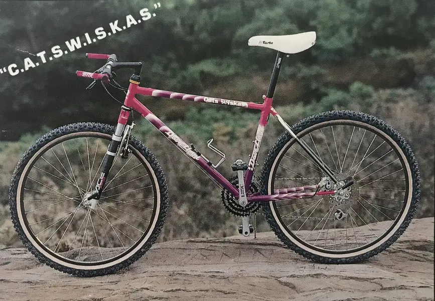 catswiskas.webp