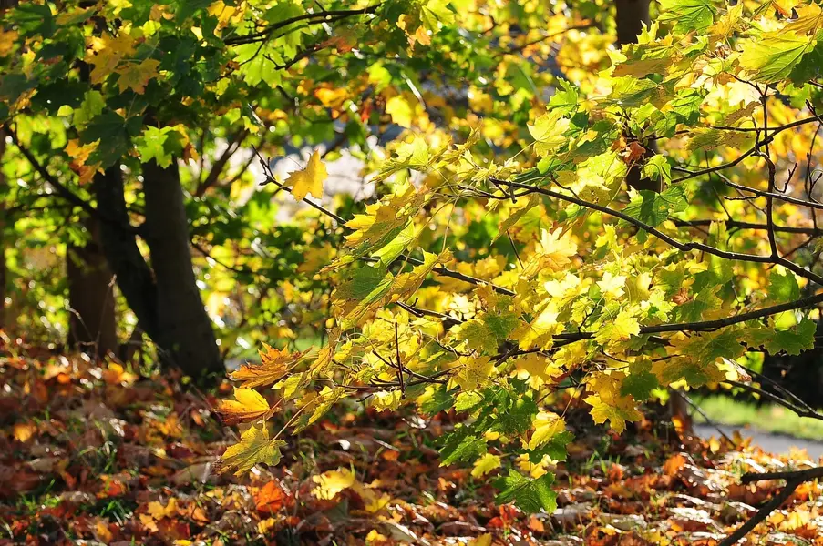 Wetter Oktober 2024 No.2.webp