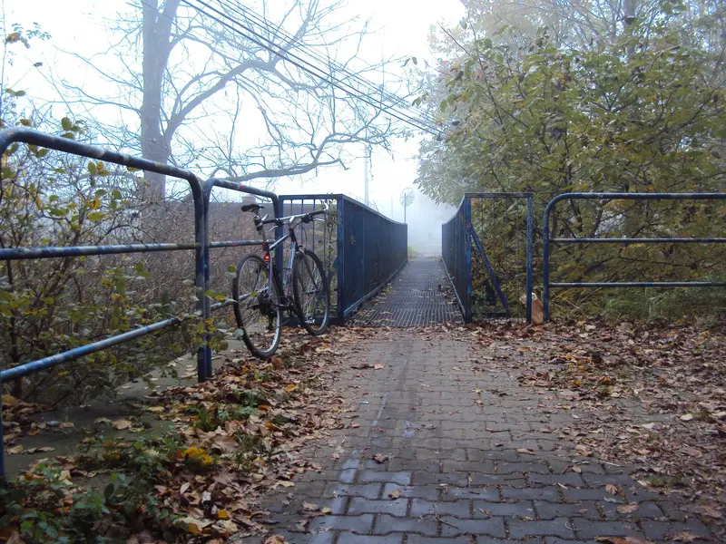 DSC05600.webp