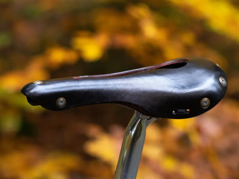 DSCF9660.webp