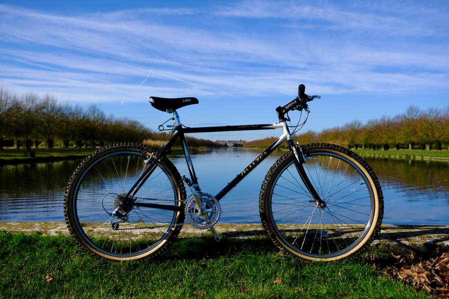 DSCF9259.webp