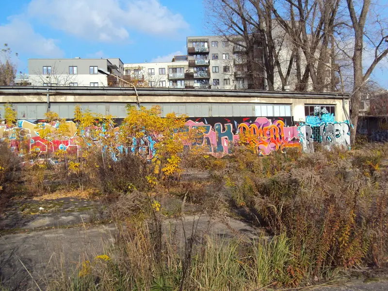 DSC05651.JPG
