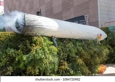 1730148946237.jpeg