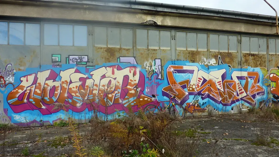 P1040548.webp