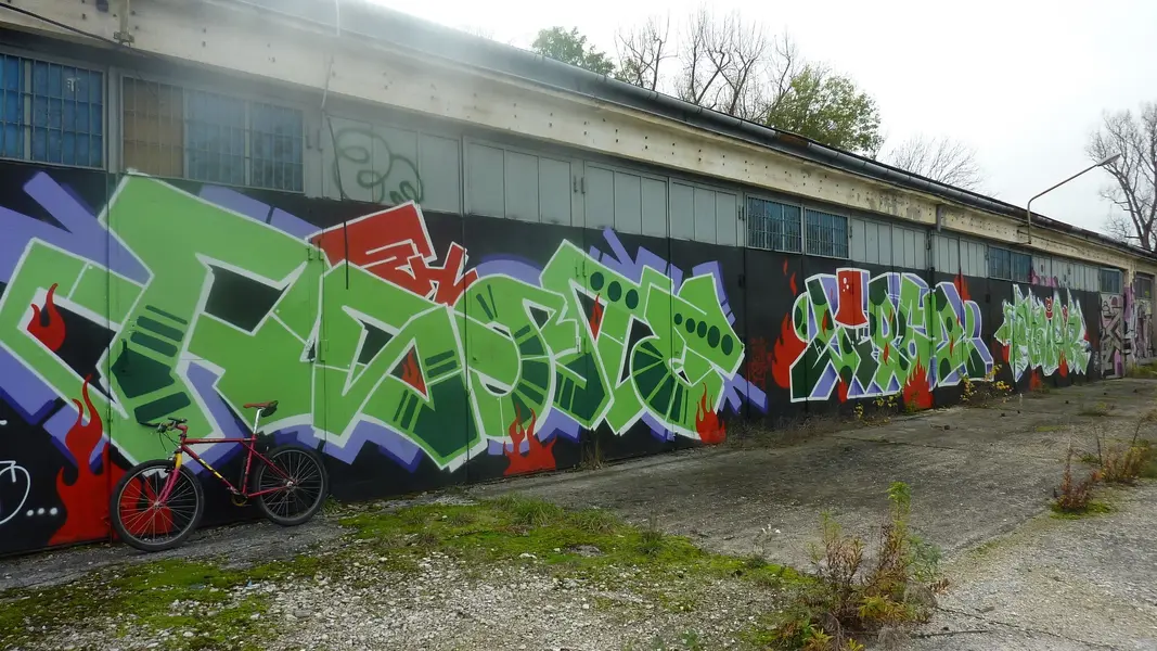 P1040570.webp