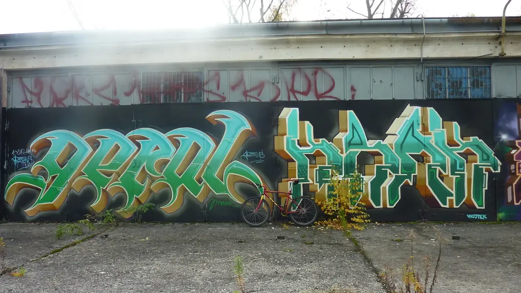 P1040572.webp