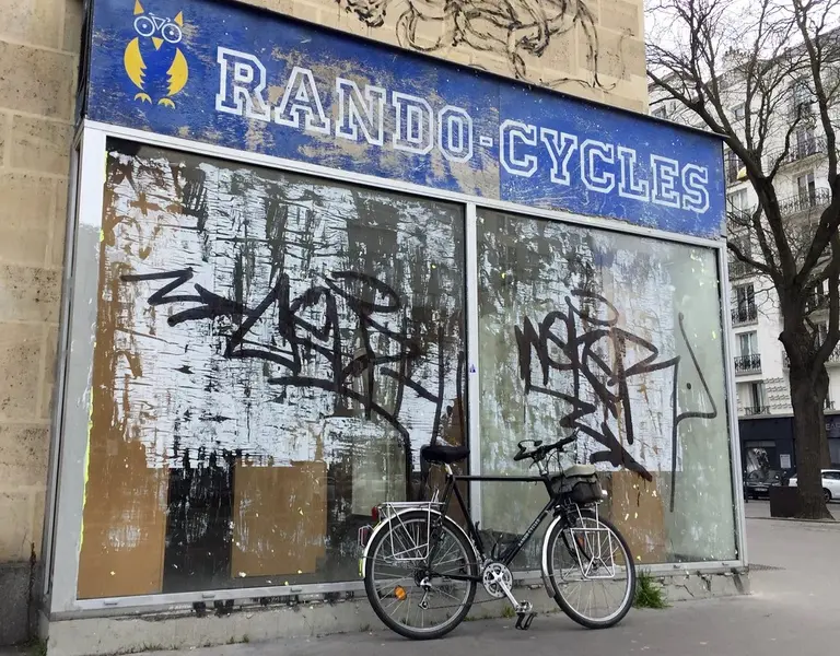 randocyc.jpg