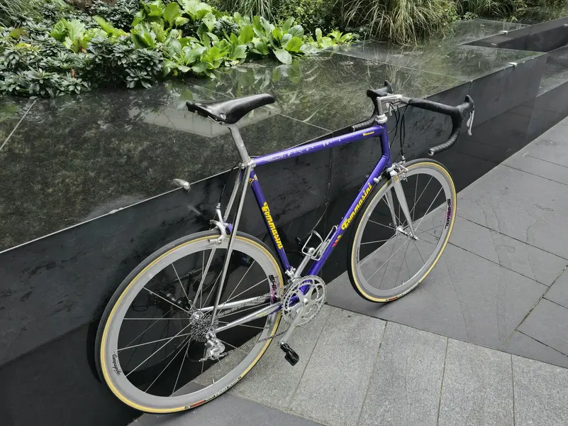1000009861.webp