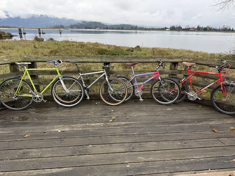 ride nov 2 2024 1.webp