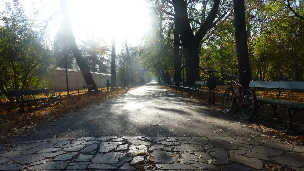P1040694.JPG