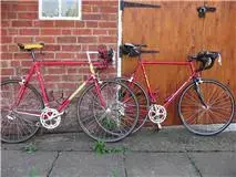 Big red Italians.webp