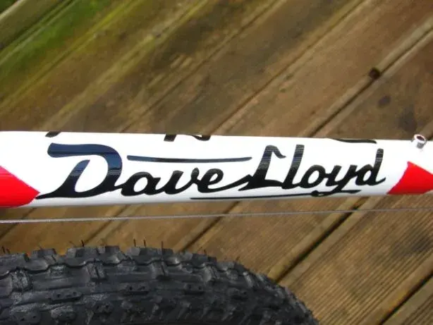 dave lloyd.webp