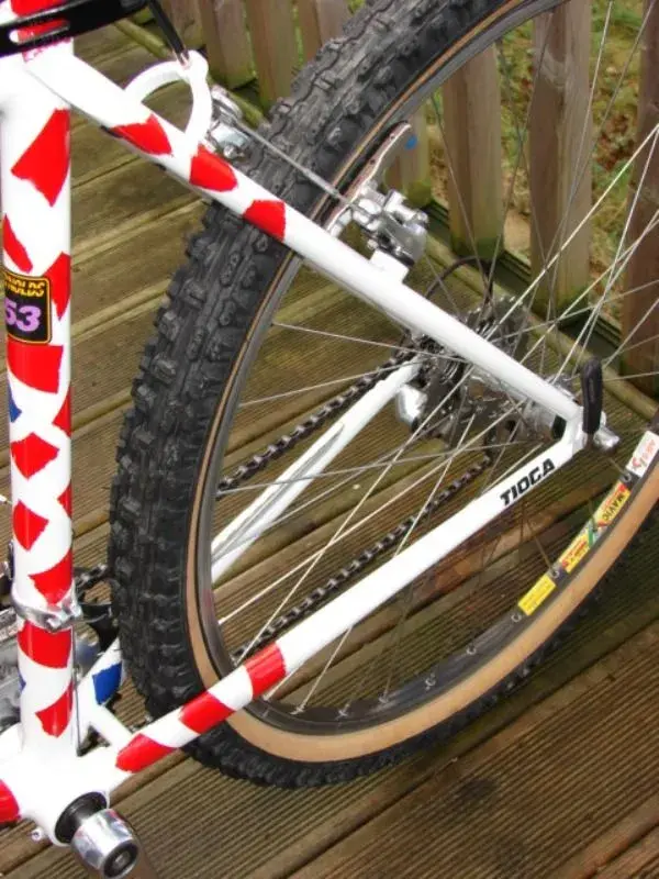 rear triangle ....non drive side.webp