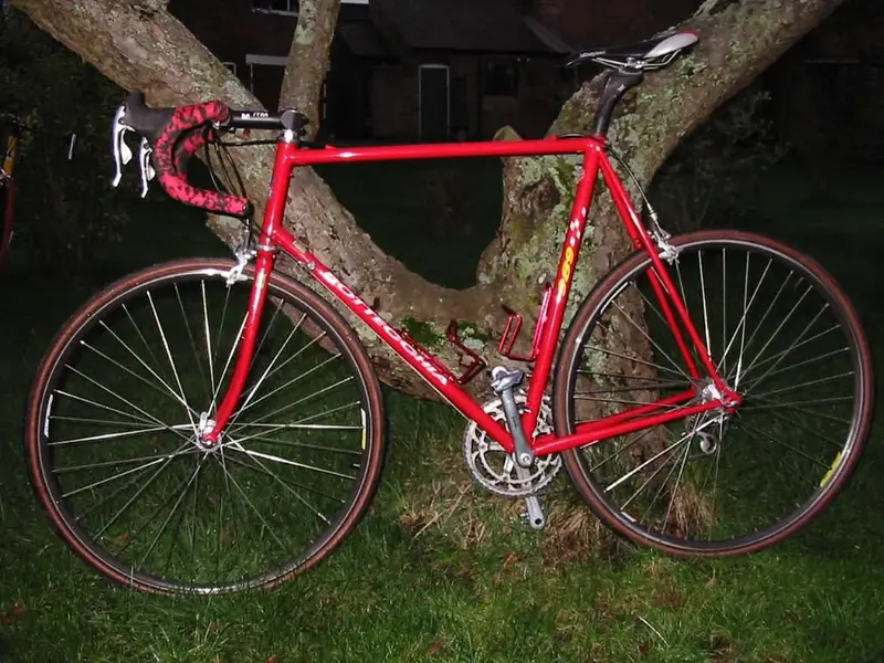 Bottecchia side view.webp