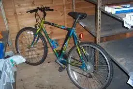 raleigh.webp