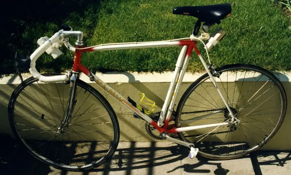 Olmo.webp