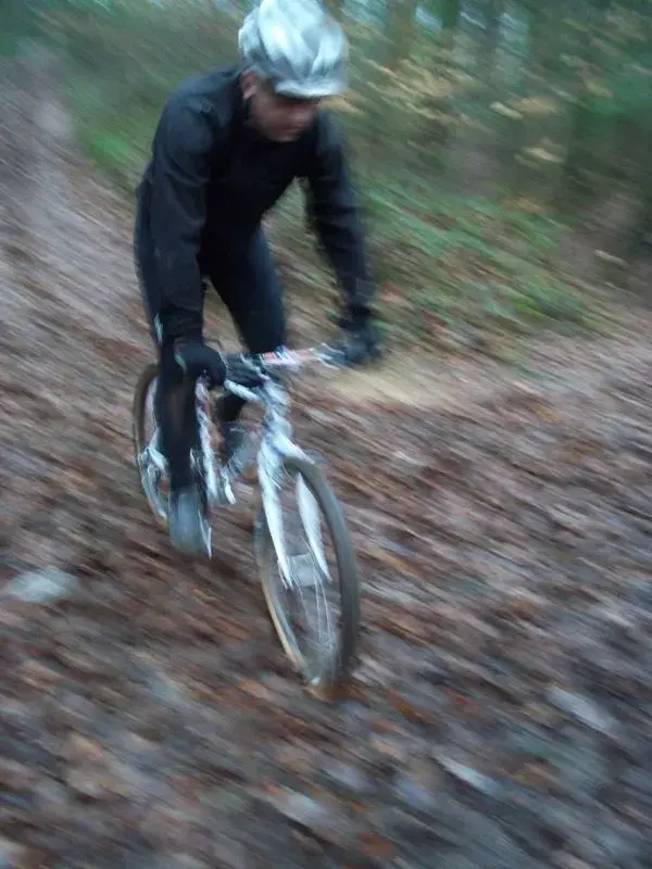 100_0689.webp