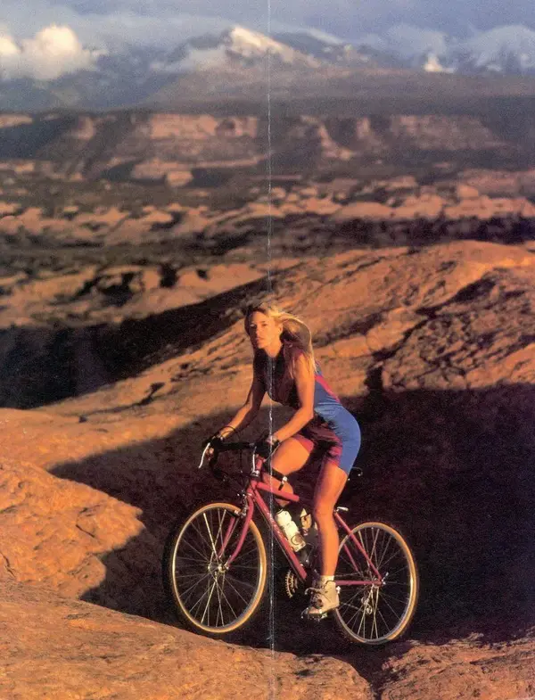 ibis 1988 3 50.webp
