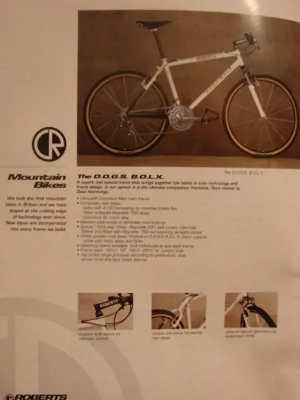 1993 specs + ref to team colour + dave hemmings.webp
