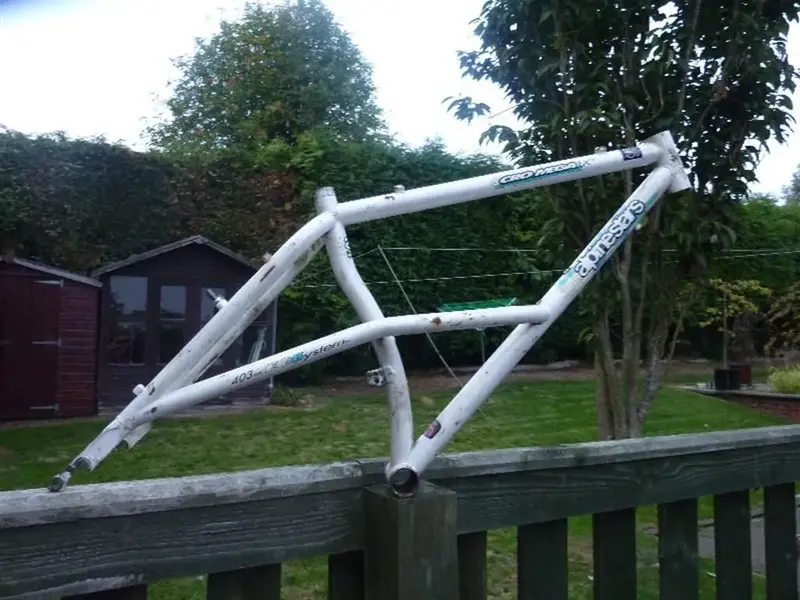 1992 cro mega frame original (Large).webp