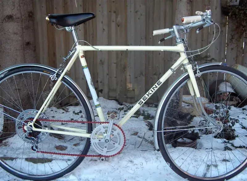 SEKINE 007 (Medium).webp