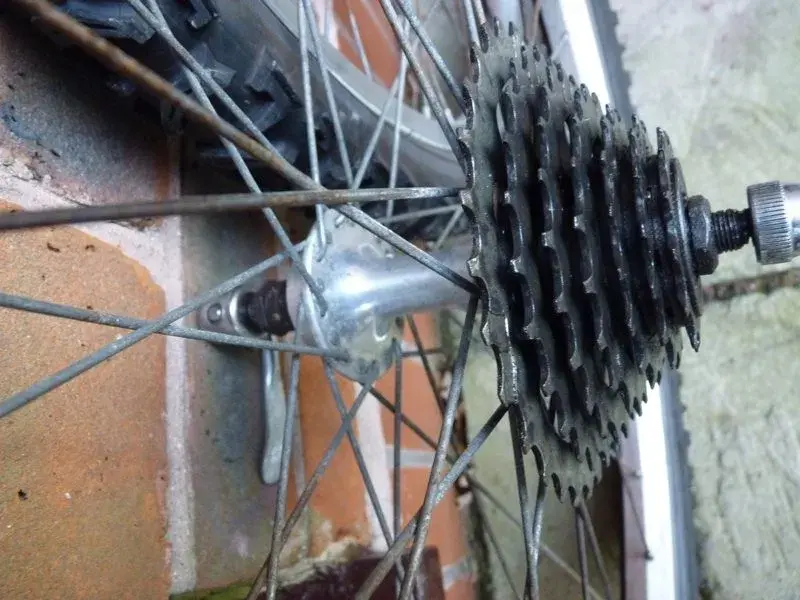 rear hub.webp