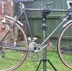 dawes.webp