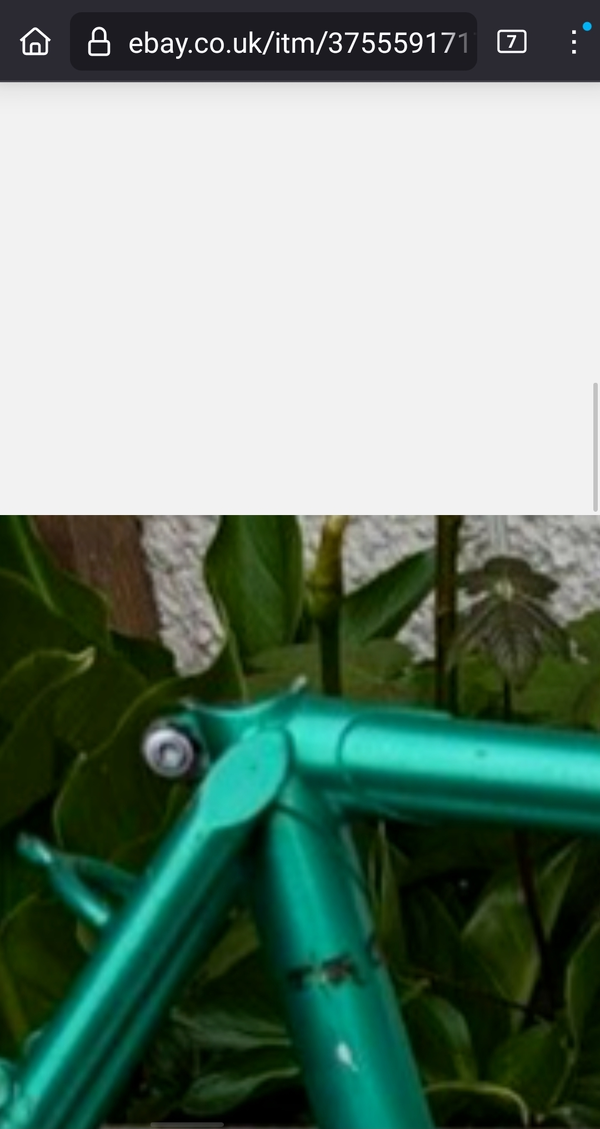 Screenshot_20241107-161920_Firefox.webp
