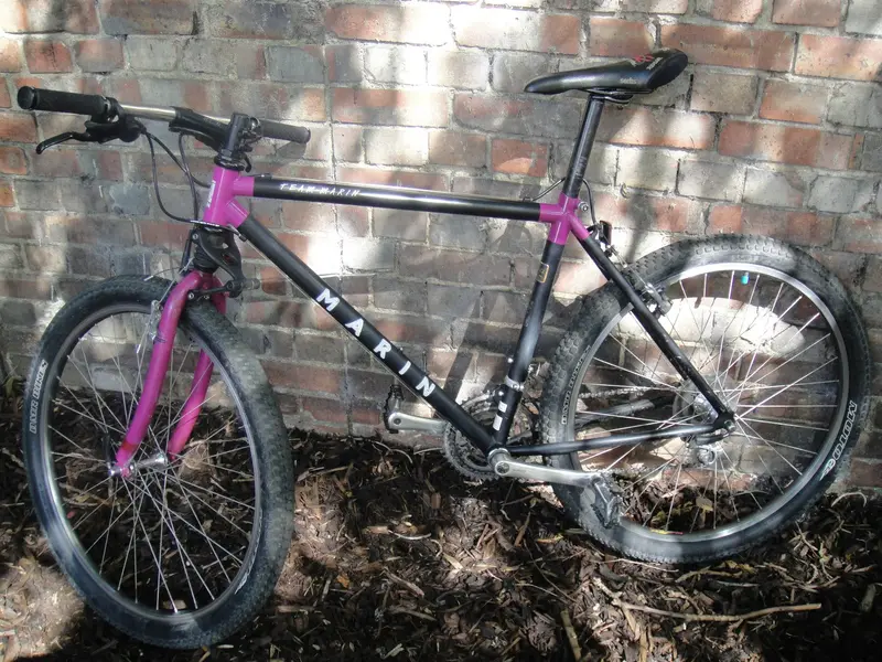 Marin Team - Browning5.webp