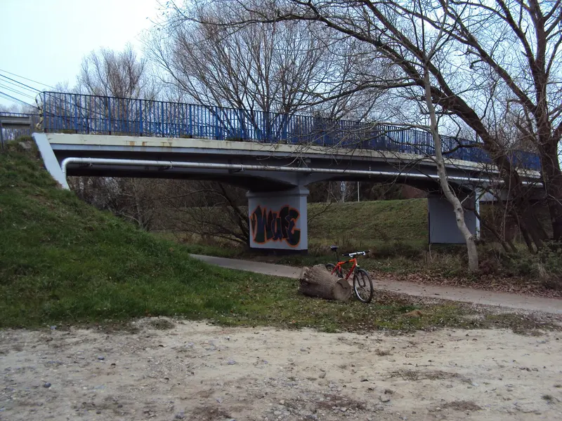 DSC05699.webp