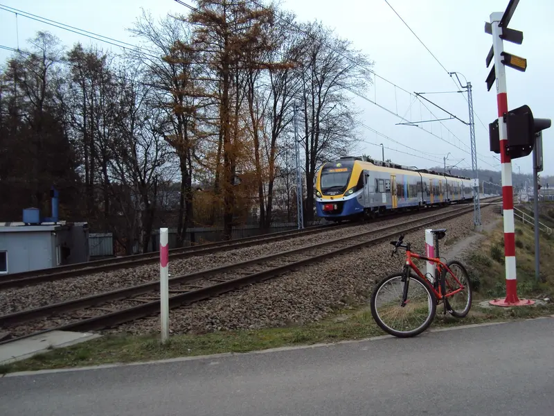 DSC05686.webp