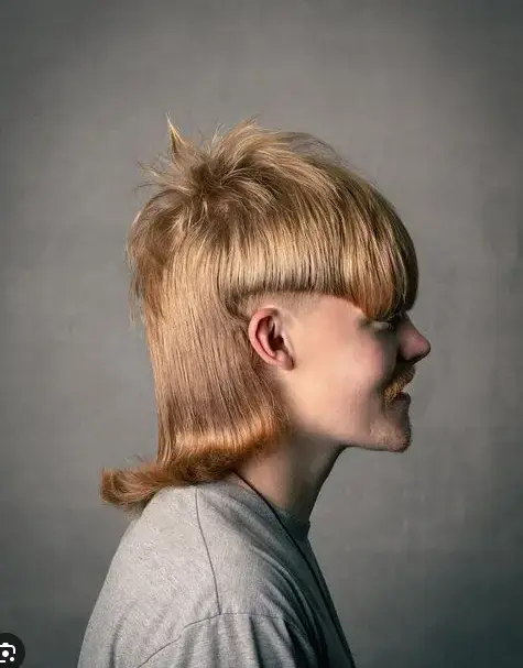 mullet.webp