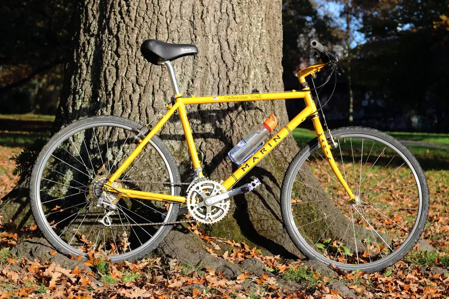 Bike.webp