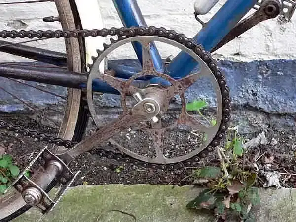 856 UNKNOWN (2).webp