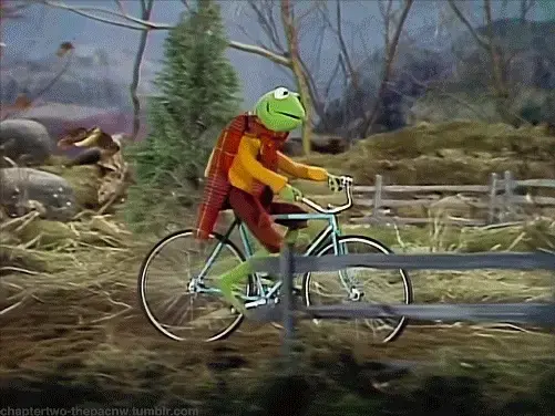 kermit3-ezgif.com-webp-to-gif-converter.webp