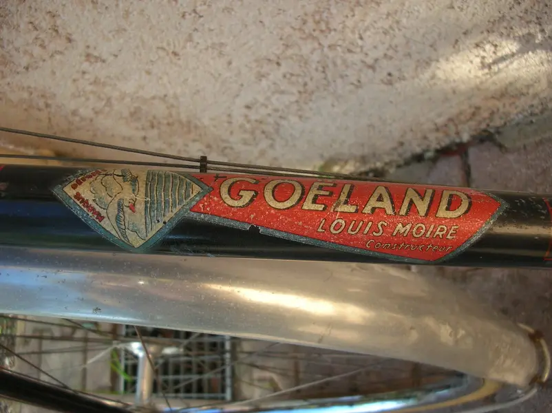 goeland4.webp