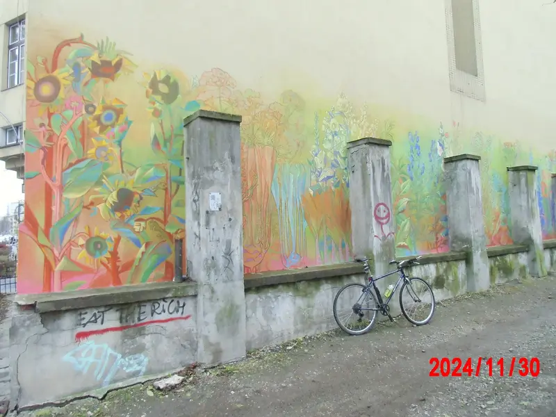 CIMG9211.webp