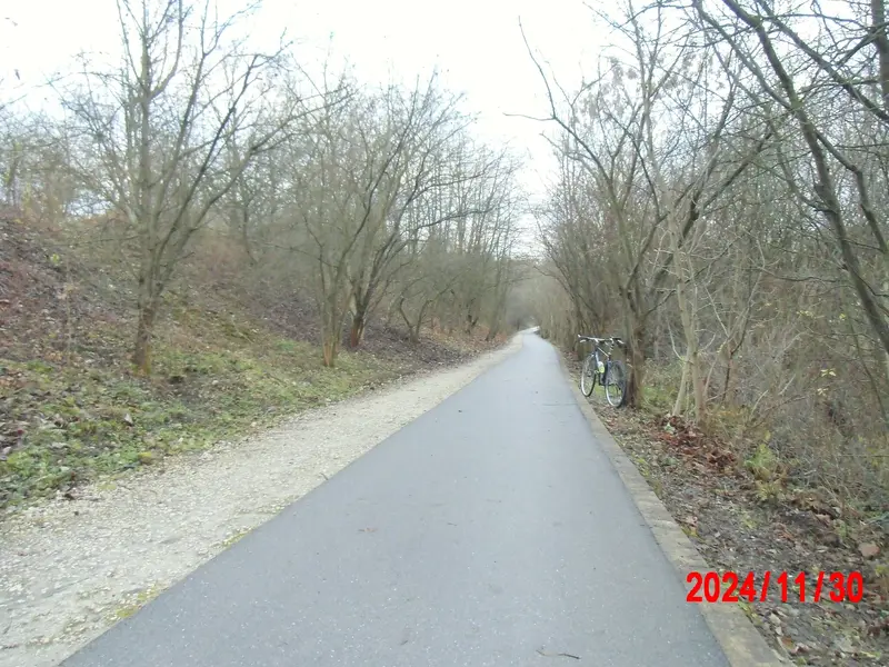 CIMG9227.JPG