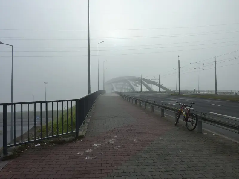 P1050059.webp