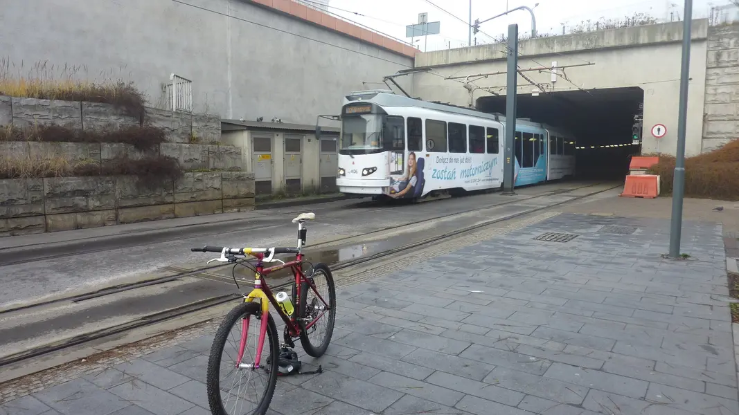 P1050050.webp